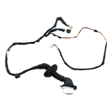 Chicote Porta Trasei...