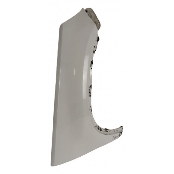 Paralama Direito Volkswagen Tiguan 2009 2010 2011 2012 2013