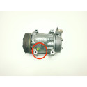 Compressor De Ar Condicionado Xsara Picasso/307 2.0