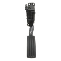 Pedal Acelerador Eletrônico Renault Sandero 1.0 2010
